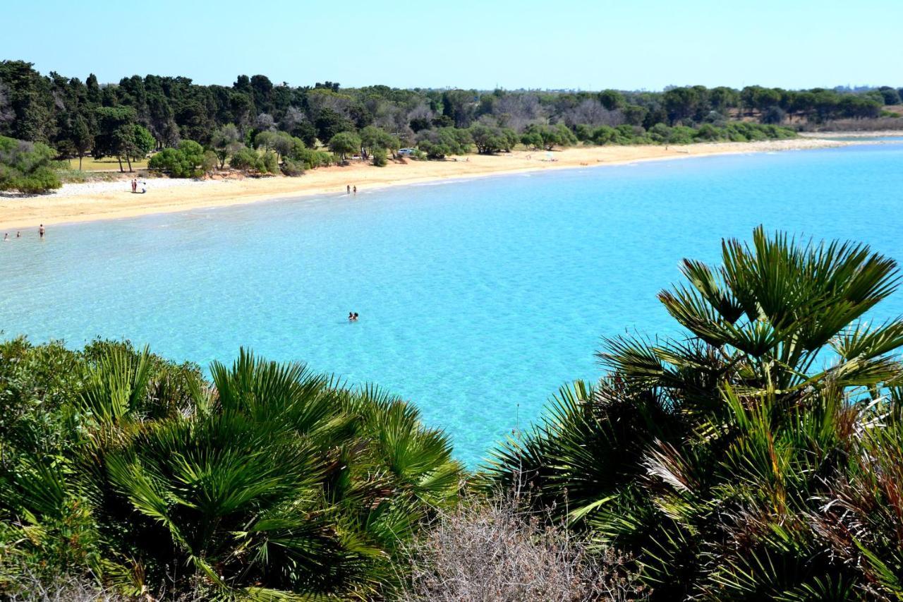 אבולה Sealand House Near The Sandy Beach, Parking & Wifi מראה חיצוני תמונה
