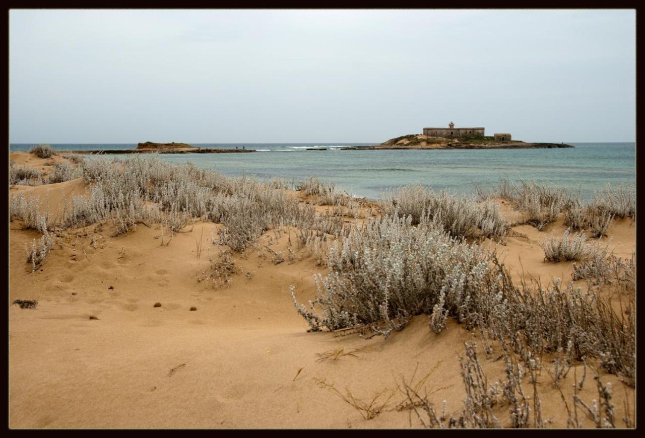אבולה Sealand House Near The Sandy Beach, Parking & Wifi מראה חיצוני תמונה