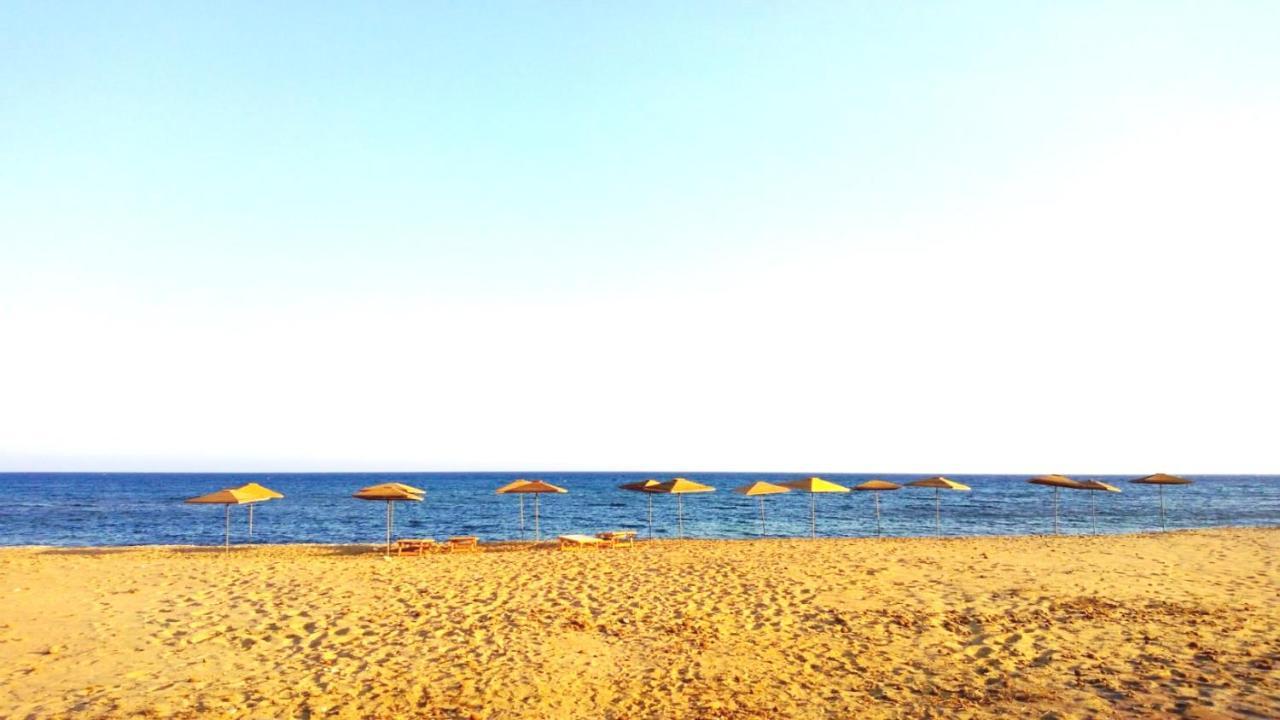 אבולה Sealand House Near The Sandy Beach, Parking & Wifi מראה חיצוני תמונה