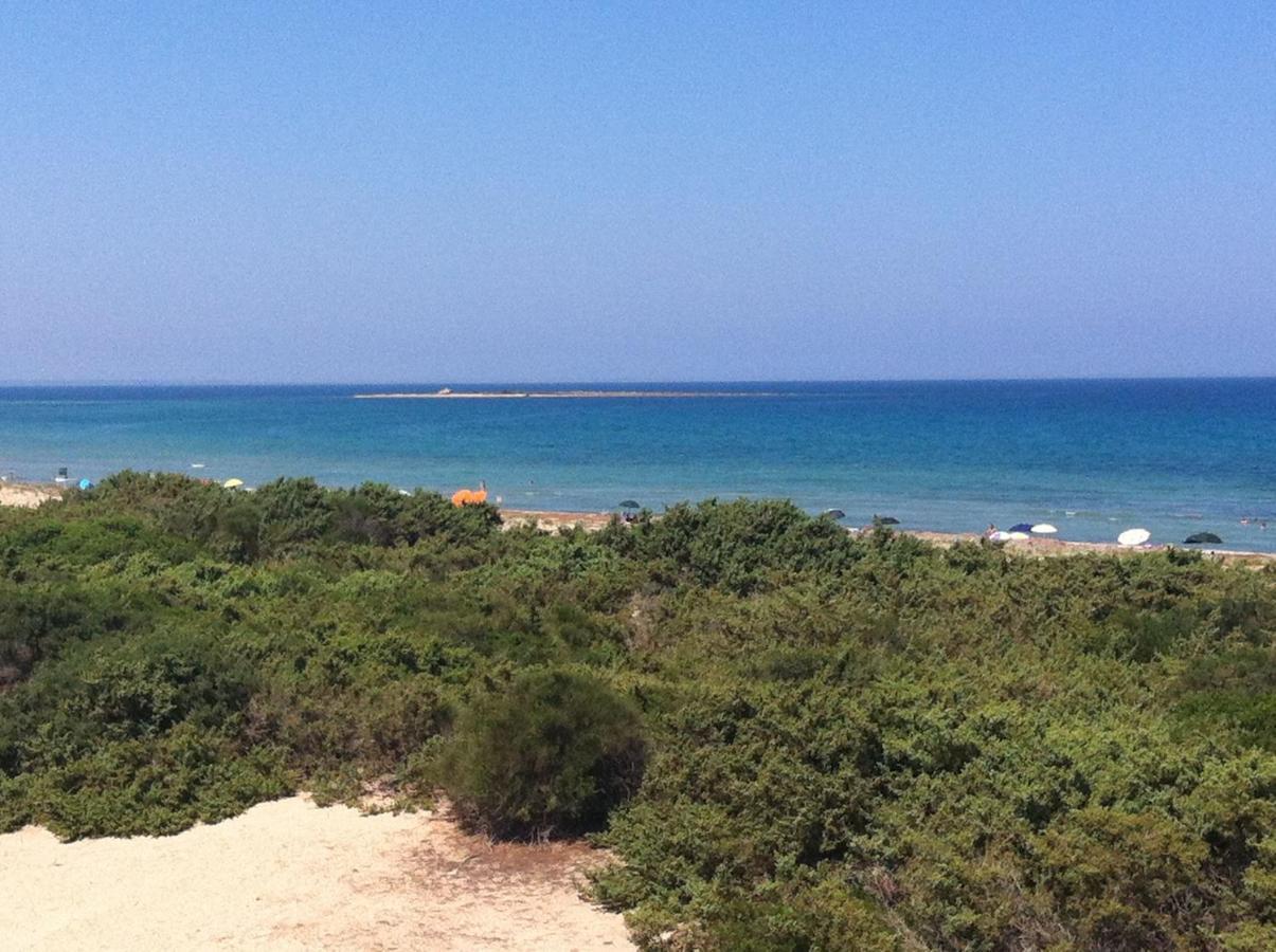 אבולה Sealand House Near The Sandy Beach, Parking & Wifi מראה חיצוני תמונה