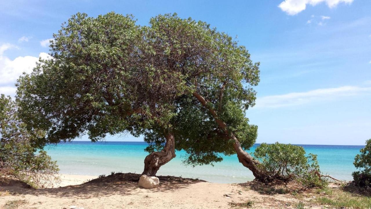 אבולה Sealand House Near The Sandy Beach, Parking & Wifi מראה חיצוני תמונה